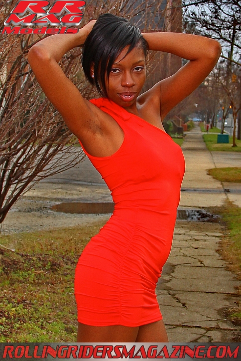 shekia_dress_07.jpg